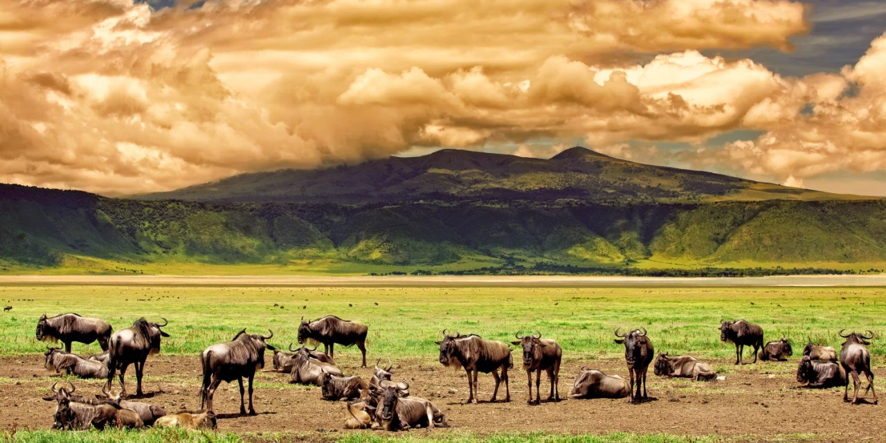 Crater Safari Lodge